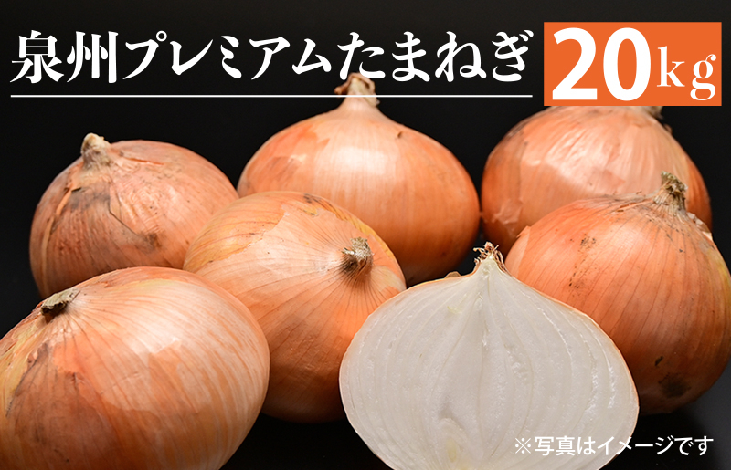 射手矢さんちの泉州プレミアムたまねぎ 20kg 【玉ねぎ タマネギ 玉葱 甘い 野菜 国産 訳あり サイズ不揃い 期間限定 オニオン スライス サラダ カレー シチュー バーベキュー BBQ 肉じゃが】 G1320