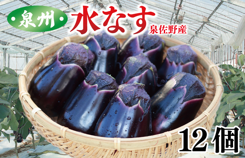 泉州 水なす 12個【ハウス栽培 新鮮 野菜 泉佐野産 茄子 数量限定】 G1489