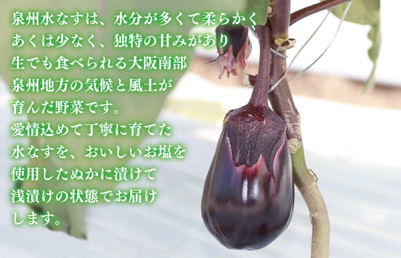 泉州 水なす漬け 6個【ハウス栽培 漬物 新鮮 野菜 泉佐野産 茄子 数量限定】 