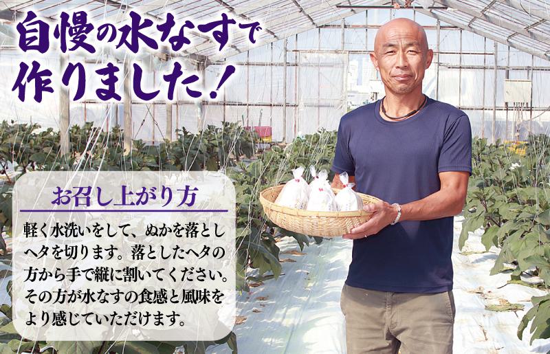 泉州 水なす漬け 6個【ハウス栽培 漬物 新鮮 野菜 泉佐野産 茄子 数量限定】 