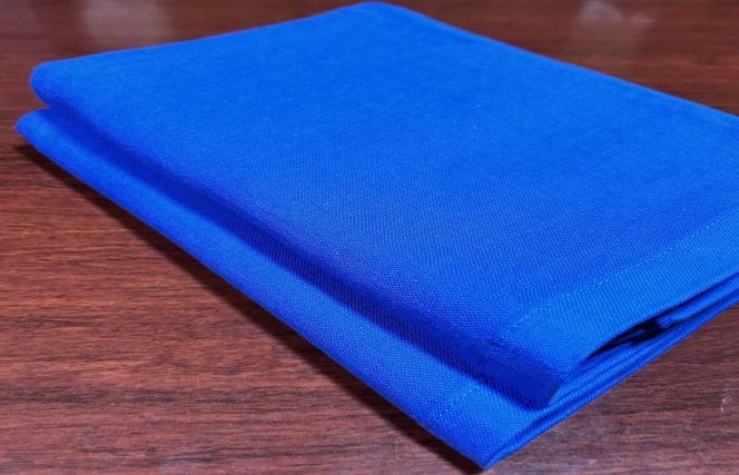 国内製造 ガーゼバスタオル 2枚（ブルー）薄手 60×120cm 泉州タオル 099H1456
