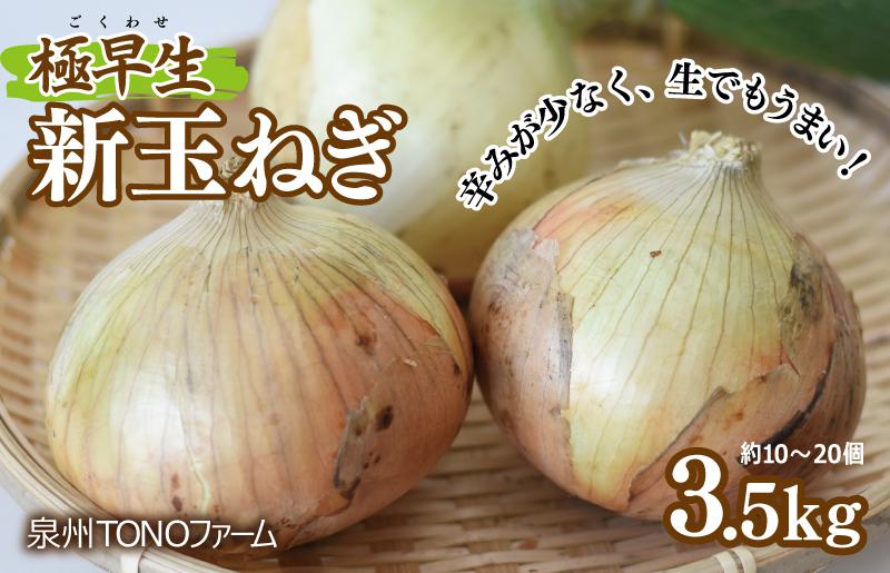 極早生 新たまねぎ 3.5kg【新鮮 野菜 泉佐野産 玉ねぎ 玉葱 やさい TONOファーム 数量限定 先行予約】 G1104