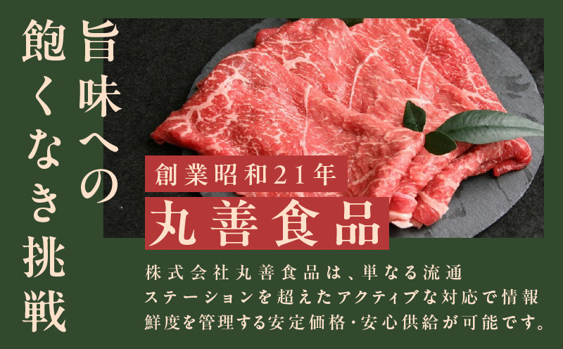 【氷温熟成×極味付け】国産 牛肉 切り落とし 1.2kg（300g×4）丸善味わい加工 010B1368