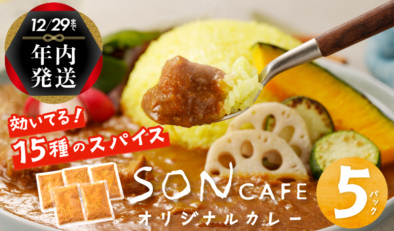 【年内発送】SONカフェ特製カレー 200g×5 冷凍 簡単調理 15種スパイス 泉州野菜使用 いずみピクルス NSW スピード発送【特別寄附金額】 G1455