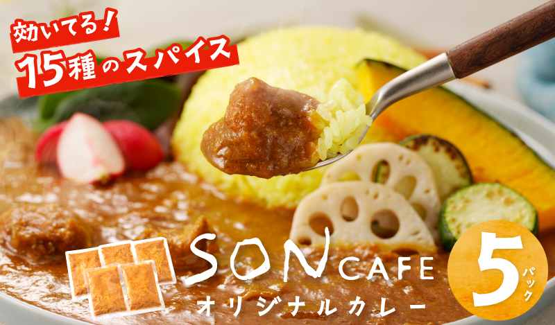 SONカフェ特製カレー 200g×5 冷凍 簡単調理 15種スパイス 泉州野菜使用 いずみピクルス NSW【特別寄附金額】 010B1540