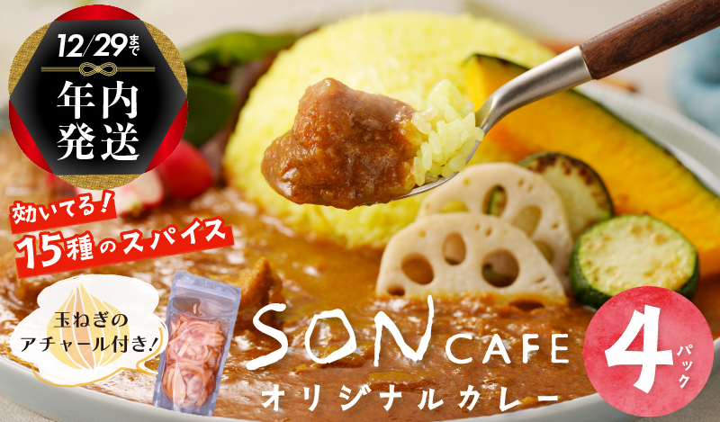 【年内発送】15種スパイスを使用したSONカフェ特製カレー 200g×4P＆玉ねぎのアチャール×1P いずみピクルス NSW スピード発送【特別寄附金額】 G1461