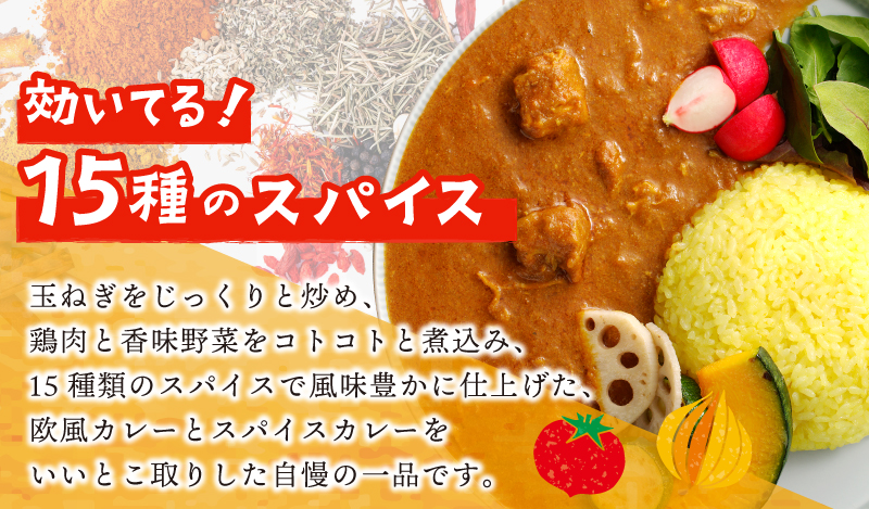 【年内発送】15種スパイスを使用したSONカフェ特製カレー 200g×4P＆キャベツのピクルス×1P いずみピクルス NSW スピード発送【特別寄附金額】 G1462