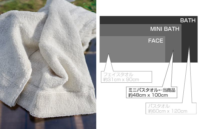 【スピード発送】 エアーミニバスタオル 2枚（ライトグレー）【泉州タオル 国産 吸水 普段使い シンプル 日用品 家族 ファミリー】