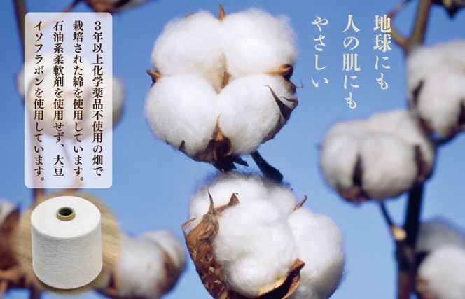 ãªãŒã¬ããã¯ã¿ãªã«ã»ãã åèš3æïŒãã¹ã¿ãªã«1æ ãã§ã€ã¹ã¿ãªã«2æïŒ