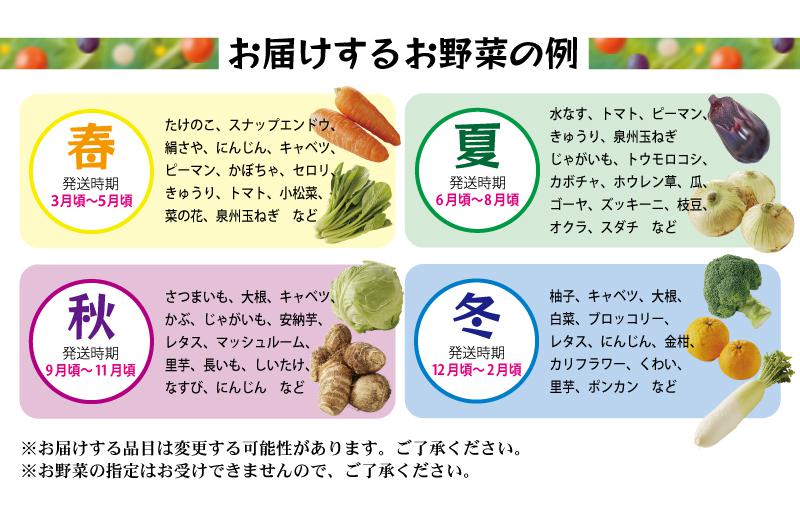 旬の野菜セット 詰め合わせ 7種類以上 国産 新鮮 お試し おまかせ お楽しみ 005A443