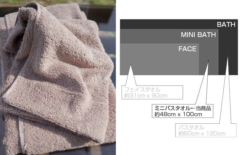 【スピード発送】 エアーミニバスタオル 2枚（ブラウン）【泉州タオル 国産 吸水 普段使い シンプル 日用品 家族 ファミリー】