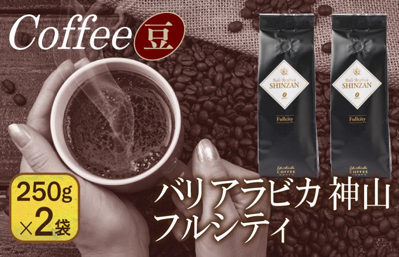 バリアラビカ神山フルシティ　250g×2袋／豆 【珈琲 こーひー コーヒー 自家焙煎 オリジナル ギフト キャンプ アウトドア 家計応援】