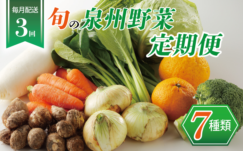 泉州野菜 定期便 7種類×全3回【毎月配送 国産 野菜 やさい 詰め合わせ セット 新鮮 旬 冷蔵発送 ええもん ていきびん】 099Z111