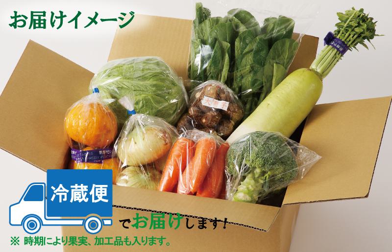 泉州野菜 定期便 全3回 7種類以上 詰め合わせ 国産 新鮮 冷蔵【毎月配送コース】 099Z111