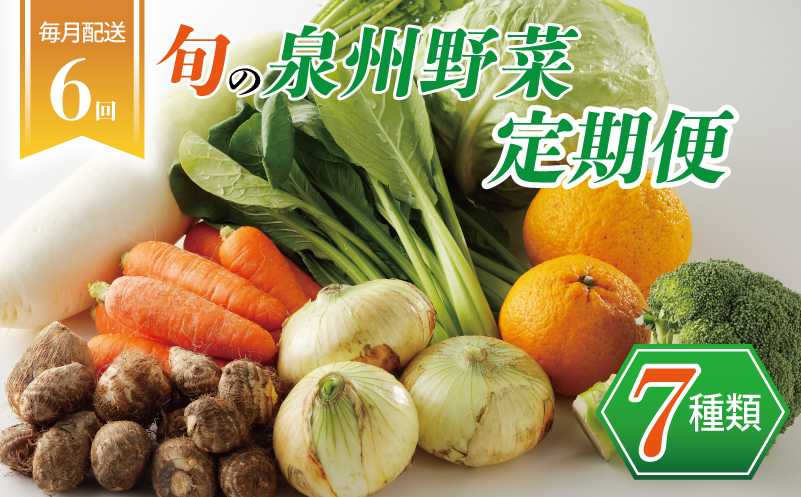 泉州野菜 定期便 7種類×全6回【毎月配送 国産 野菜 やさい 詰め合わせ セット 新鮮 旬 冷蔵発送 ええもん ていきびん】 099Z113