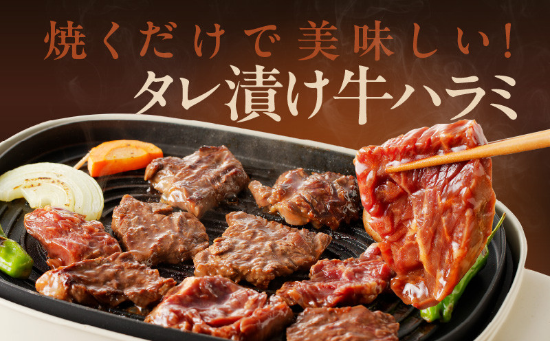 牛ハラミ 定期便 1.2kg 全3回 タレ漬け 牛肉 小分け 300g×4【毎月配送コース】 G1178