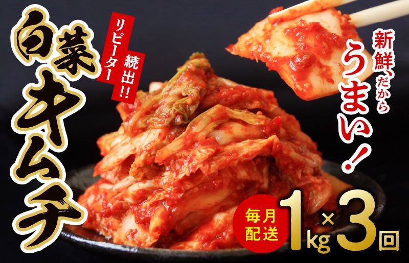 定期便 白菜キムチ 1kg × 3回 大好評 韓国【毎月配送コース】 099Z246