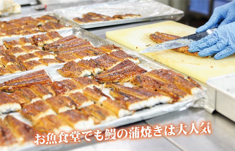 国産うなぎ 蒲焼き 3尾 総量400g以上 015B230