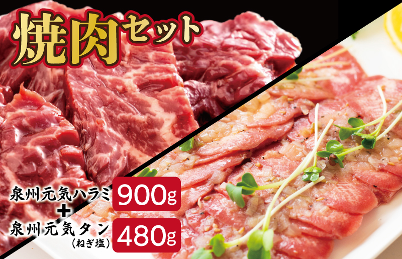 大人気 ファミリー向け 焼肉セット 牛たん 牛ハラミ肉 総量1.38kg 099H2276