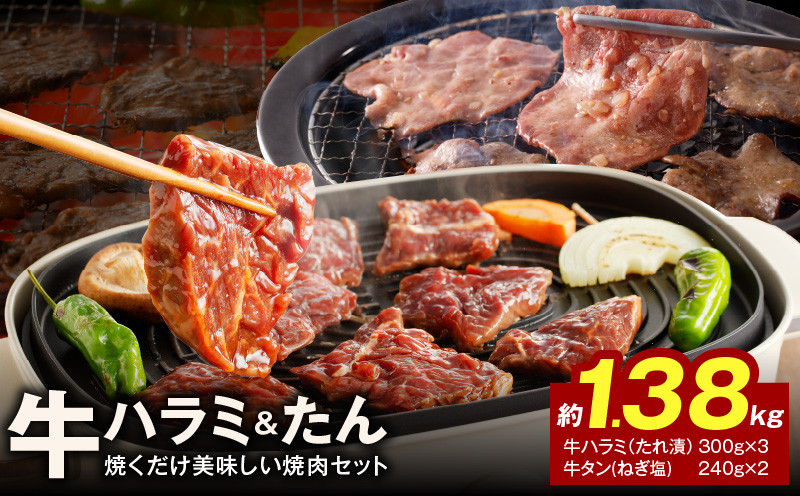 大人気 ファミリー向け 焼肉セット 牛たん 牛ハラミ肉 総量1.38kg 099H3152