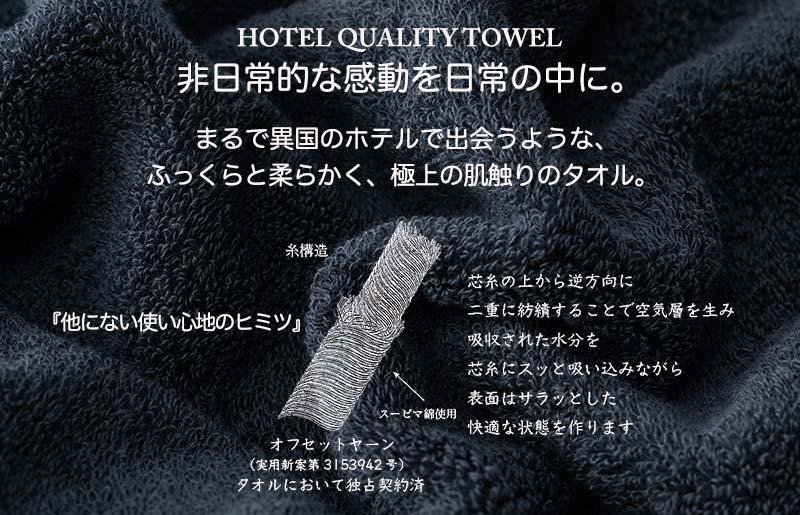 【TVで紹介！】Landwell Hotel フェイスタオル 3枚 グレー ギフト 贈り物【泉州タオル 国産 吸水 普段使い 無地 シンプル 日用品 家族 ファミリー】