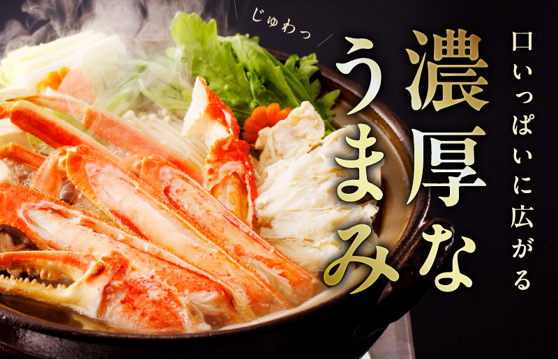 カニ ボイルズワイ蟹 800g（400g×2肩）約2-3人前 昆布仕立て