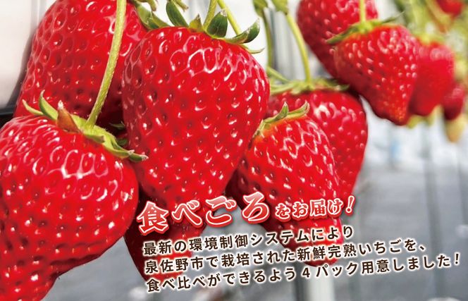 ãå
è¡äºçŽãå®çæ°é®® ãã¡ãé£ã¹æ¯ã¹ 4ãã㯠åèš1080g以äž