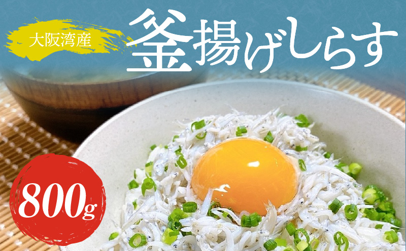 【完全無添加】釜揚げしらす 800g【訳あり 簡易包装 家庭用 うす塩仕立て シラス しらす ちりめん 国産 海の幸 ご飯のお供 海鮮 魚介 期間限定】  099H3410