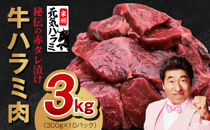 【ガイアの夜明けで紹介！】牛ハラミ肉 3kg（300g×10）秘伝の赤タレ漬け 訳あり サイズ不揃い 030D173