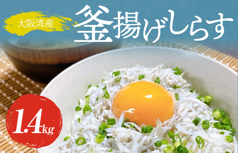 釜揚げしらす 1.4kg 訳あり 家庭用 完全無添加 うす塩仕立て 099H3366