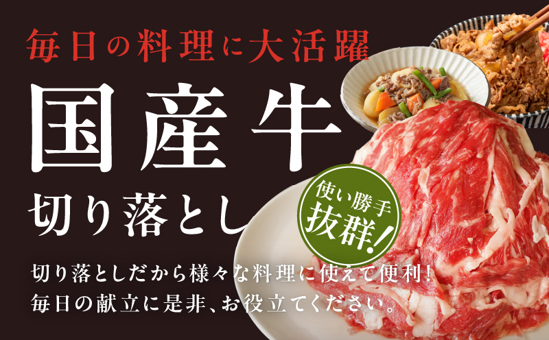 【極味付け肉】国産 牛肉 切り落とし 1.5kg（300g×5）丸善味わい加工 099H2236