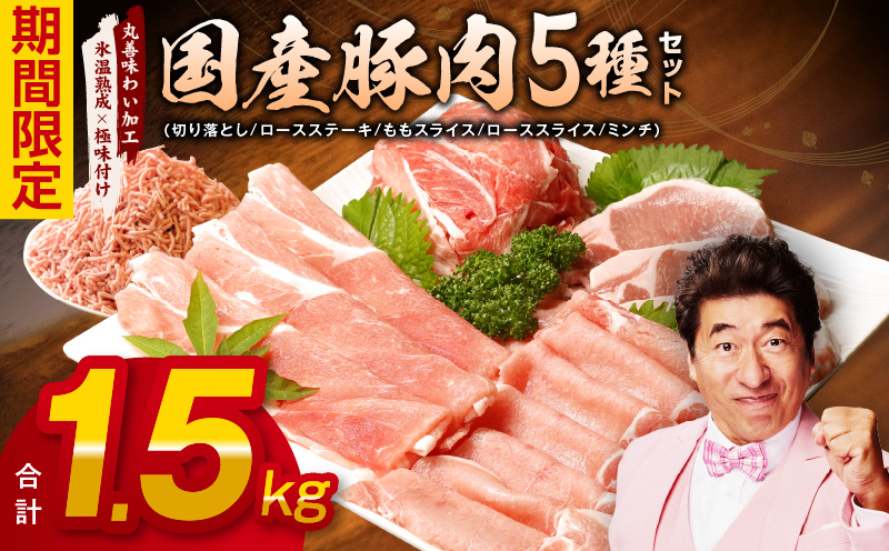 【氷温熟成×極味付け】国産 豚肉 5種 食べ比べ 合計 1.5kg（切り落とし/ロースステーキ/ももスライス/ローススライス/ミンチ）小分け mrz0034