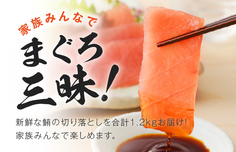【家計応援】天然まぐろ 切り落とし 合計 1.2kg 小分け 150g×8P【訳あり サイズ不揃い 刺身 海鮮丼 鮪 まぐろ マグロ ユッケ 海鮮 ネギトロ 小分け ファミリー向け】