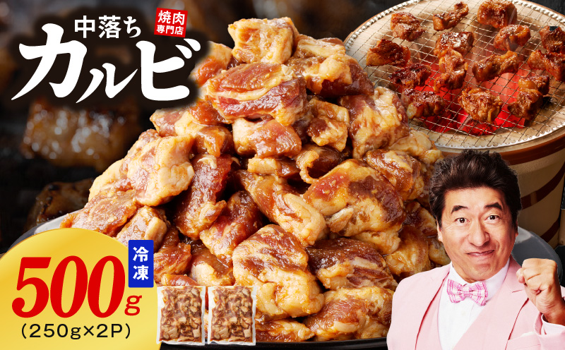 焼き肉専門店 自家製タレ漬け 中落ちカルビ 合計500g（250g×2） G1599