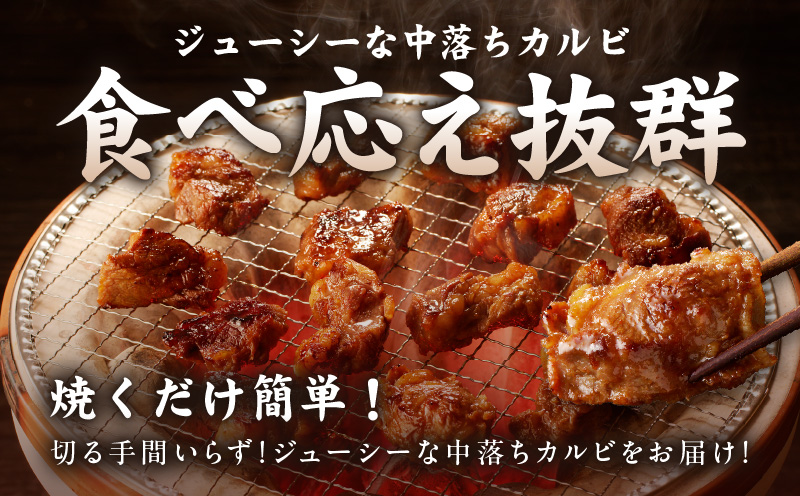 焼き肉専門店 自家製タレ漬け 中落ちカルビ 合計500g（250g×2） 099H2301