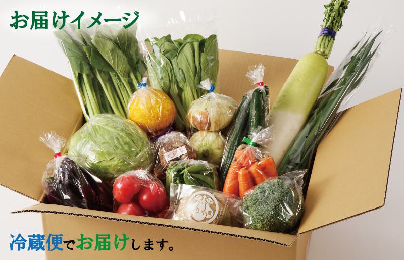 【年内発送】旬の野菜セット 詰め合わせ 15種類 国産 新鮮 お試し おまかせ お楽しみ 年内お届け 010B507y