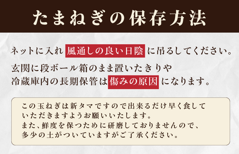 【先行予約】射手矢さんちの泉州プレミアムたまねぎ 20kg 【玉ねぎ タマネギ 玉葱 甘い 野菜 国産 期間限定 オニオン スライス サラダ カレー シチュー バーベキュー BBQ 肉じゃが】