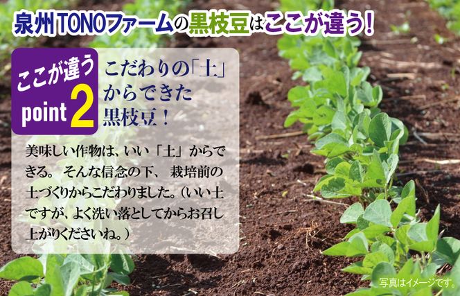  【先行予約】畑から直送・朝採り黒枝豆1.8kg 005A061