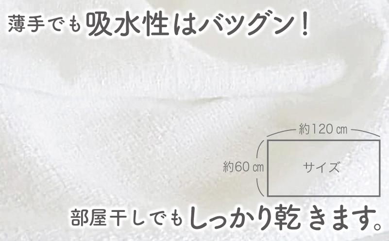 泉州タオル「家事がラクになるバスタオル」セット（パステル系）