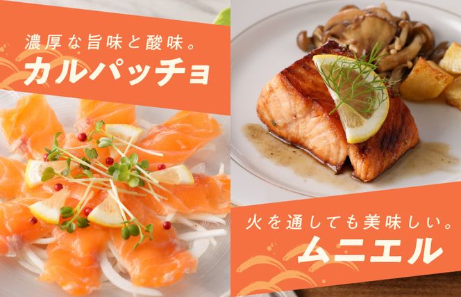 【TVで紹介！】アトランティックサーモン 370g 刺身用ポーション【小分け 真空パック 訳あり サイズ不揃い 刺身 海鮮丼 さーもん 鮭 さけ シャケ しゃけ 冷凍 家計応援】