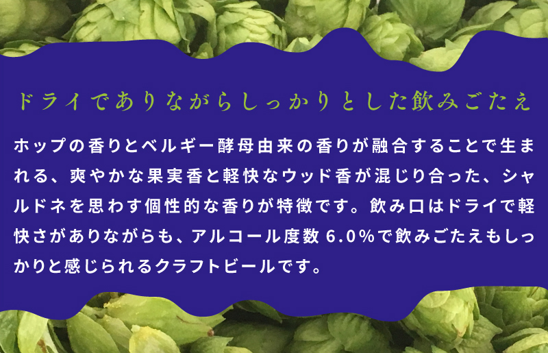 クラフトビール 裏通りのドンダバダ 24本 G1011