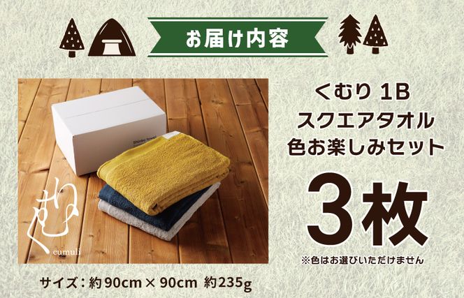 くむり1B スクエアタオル 3枚 色お楽しみセット【泉州タオル 国産 吸水 普段使い 無地 シンプル 日用品 家族 ファミリー】 G633