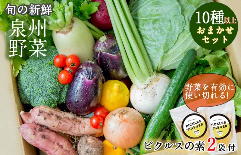 季節の泉州野菜 10種 おまかせセット ピクルスの素 2袋付き G906