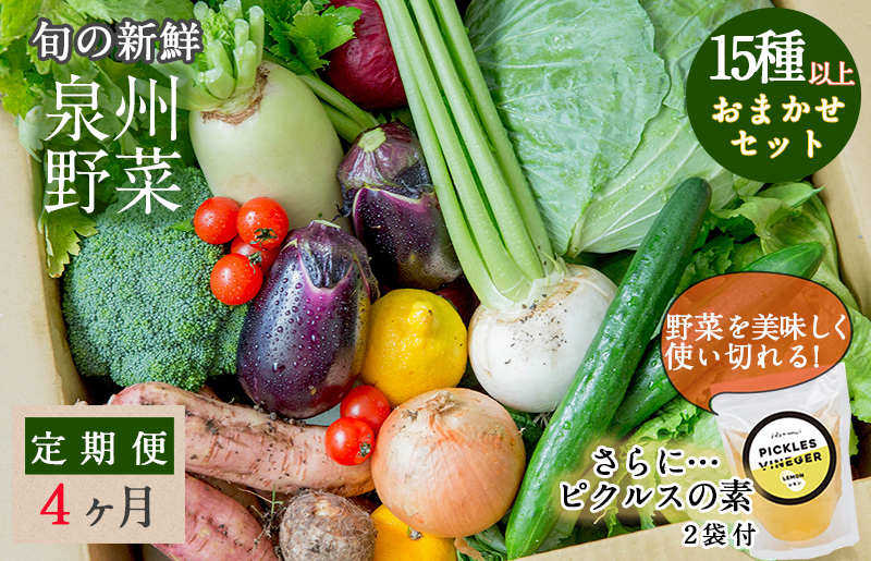 旬の新鮮 野菜セット（15種以上）定期便 全4回 おまかせ ピクルスの素付き ファミリー向け【毎月配送コース】 G938