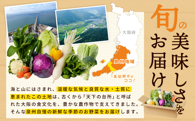 旬の新鮮 野菜セット（15種以上）定期便 全4回 おまかせ ピクルスの素付き ファミリー向け いずみピクルス NSW【毎月配送コース 大阪 泉佐野 大阪府 泉佐野市】