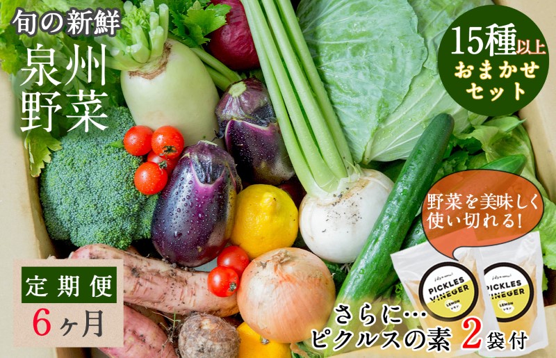 旬の新鮮 野菜セット（15種以上）定期便 全6回 おまかせ ピクルスの素付き ファミリー向け【毎月配送コース】 G939