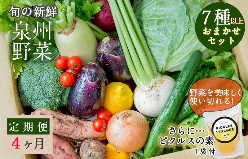 旬の新鮮 野菜セット（7種以上）定期便 全4回 おまかせ ピクルスの素付き ファミリー向け【毎月配送コース】 G940