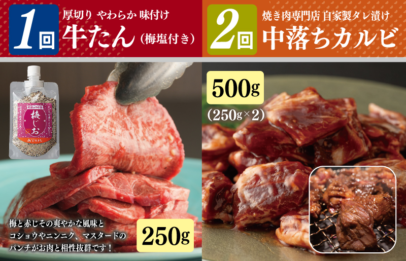 焼肉専門店厳選 お試し 焼肉 定期便 全4回【毎月配送コース】 G1369