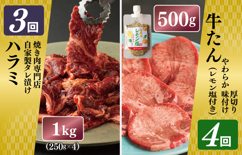 çŒèå°éåºå³éž 倧æºè¶³ çŒè å®æäŸ¿ å
š6å ãæ¯æé
éã³ãŒã¹ã