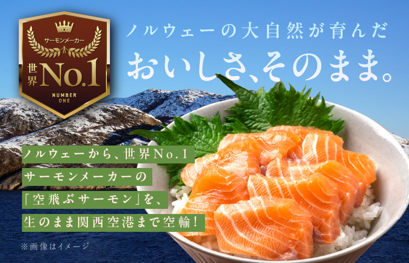 アトランティックサーモン 2kg以上 小分け 500g以上×4P【フィレ エコパック 訳あり サイズ不揃い 世界No.1サーモンメーカー 刺身 海鮮丼 サラダ 総量 1kg以上 鮭 さけ シャケ しゃけ sake 人気 オススメ 小分け 期間限定 冷凍 家計応援 消費応援 物価高応援】 G1240
